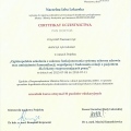 Powiększ obraz: certificate 3