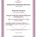 Powiększ obraz: certificate 3