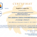 Powiększ obraz: certificate 4