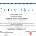 Powiększ obraz: certificate 15