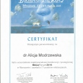 Powiększ obraz: certificate 1