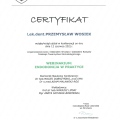 Powiększ obraz: certificate 4