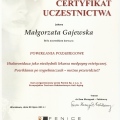 Powiększ obraz: certificate 13