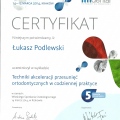 Powiększ obraz: certificate 66