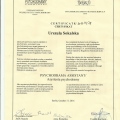 Powiększ obraz: certificate 8