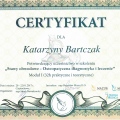Powiększ obraz: certificate 11