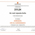 Powiększ obraz: certificate 11