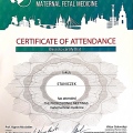 Powiększ obraz: certificate 67