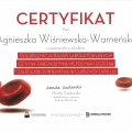 Powiększ obraz: certificate 9