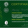 Powiększ obraz: certificate 9