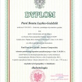 Powiększ obraz: certificate 2