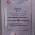 Powiększ obraz: certificate 11