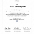 Powiększ obraz: certificate 1