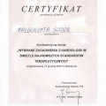 Powiększ obraz: certificate 11