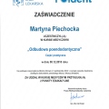 Powiększ obraz: certificate 12