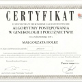 Powiększ obraz: certificate 11