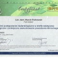 Powiększ obraz: certificate 3