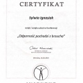 Powiększ obraz: certificate 13