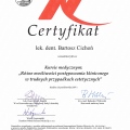Powiększ obraz: certificate 9