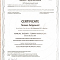 Powiększ obraz: certificate 13