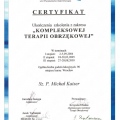 Powiększ obraz: certificate 10