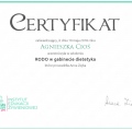 Powiększ obraz: certificate 1