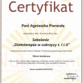 Powiększ obraz: certificate 3