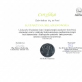 Powiększ obraz: certificate 4