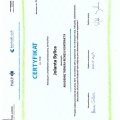 Powiększ obraz: certificate 8