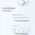 Powiększ obraz: certificate 4