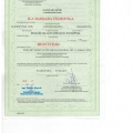 Powiększ obraz: certificate 5