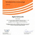 Powiększ obraz: certificate 4