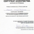 Powiększ obraz: certificate 15