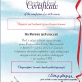 Powiększ obraz: certificate 2
