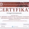 Powiększ obraz: certificate 9