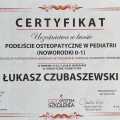 Powiększ obraz: certificate 1