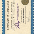 Powiększ obraz: certificate 13
