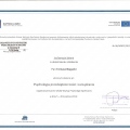 Powiększ obraz: certificate 7