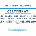 Powiększ obraz: certificate 31