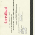 Powiększ obraz: certificate 4