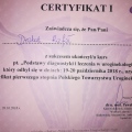 Powiększ obraz: certificate 11