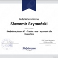 Powiększ obraz: certificate 46