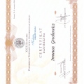 Powiększ obraz: certificate 13