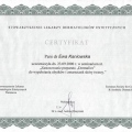 Powiększ obraz: certificate 45