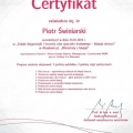 Powiększ obraz: certificate 13