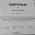 Powiększ obraz: certificate 1