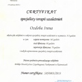 Powiększ obraz: certificate 2