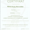 Powiększ obraz: certificate 6