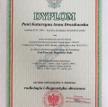 Powiększ obraz: certificate 1