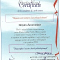 Powiększ obraz: certificate 13